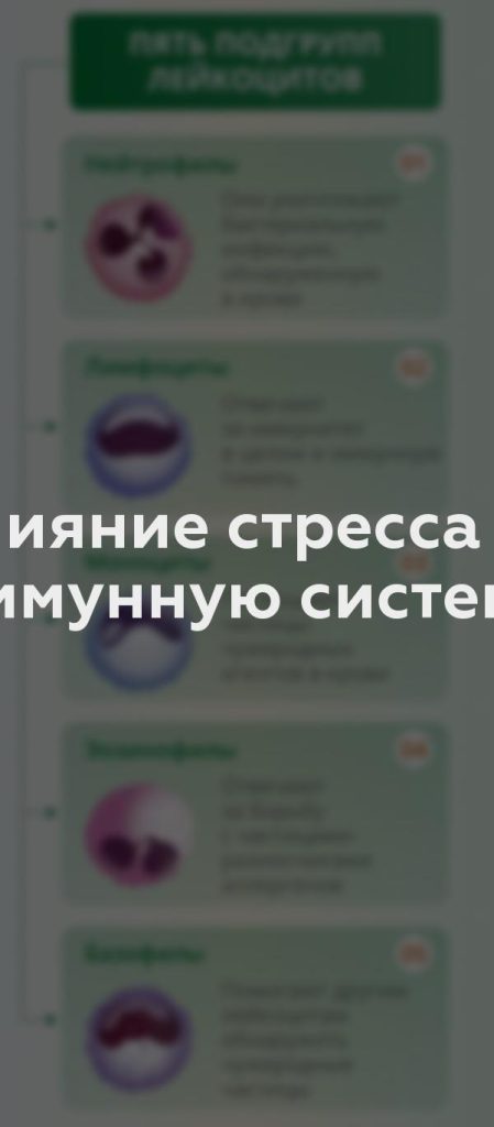 Влияние стресса на иммунную систему