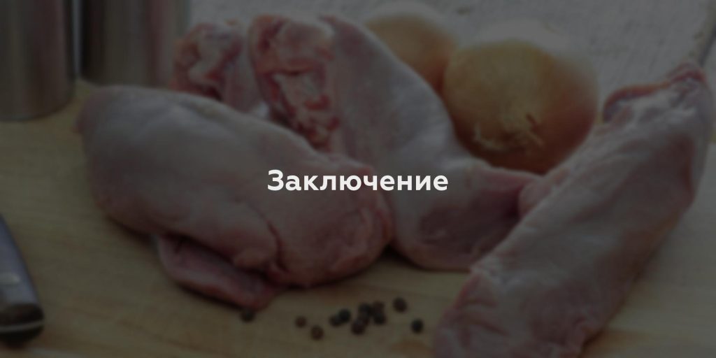 Заключение