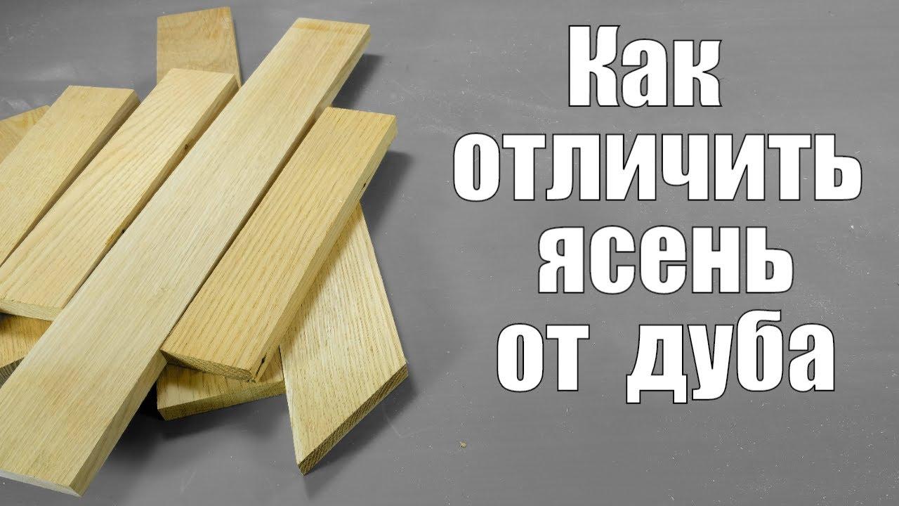 Что плотнее дуб или ясень?