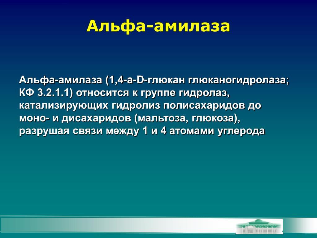 Что разрушает амилаза?