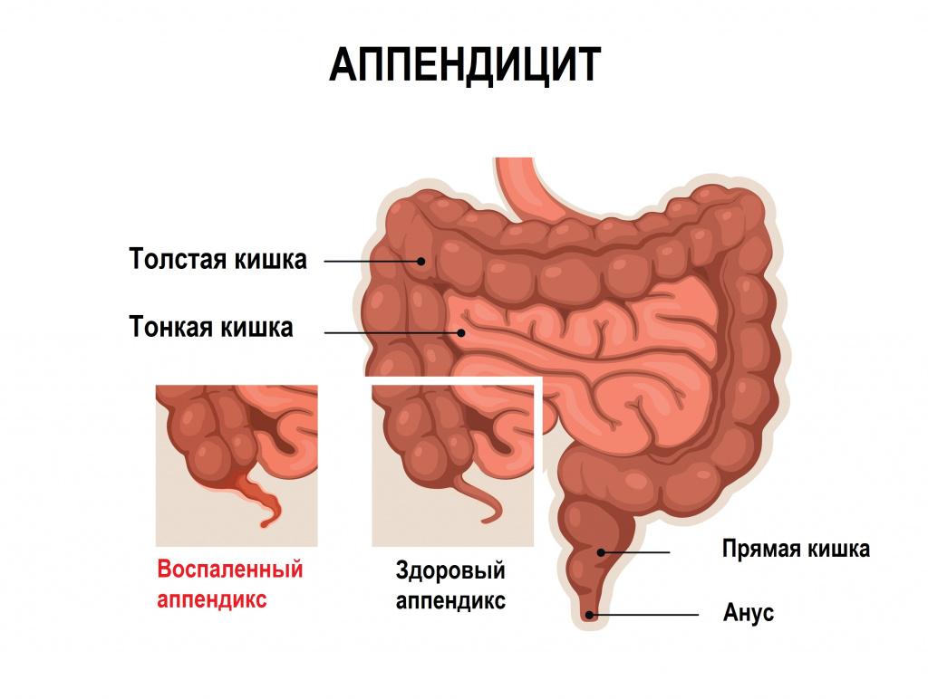 Что такое амилаза простыми словами?