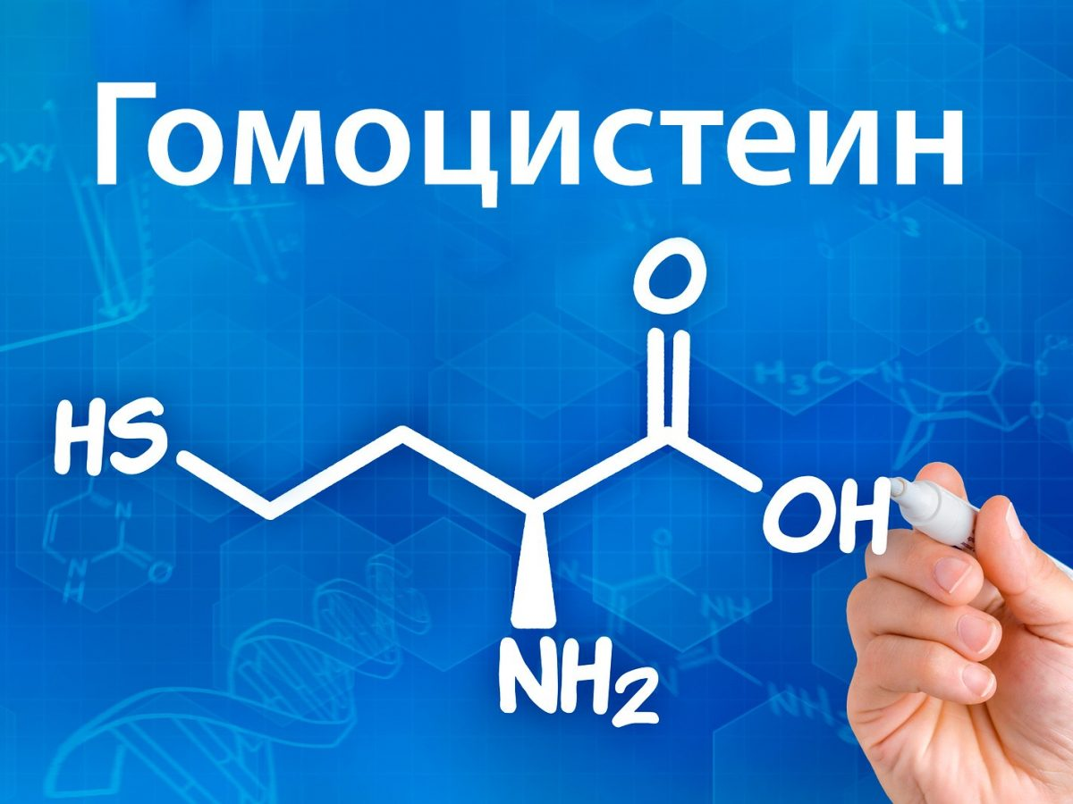 Что такое гомоцистеин простыми словами?