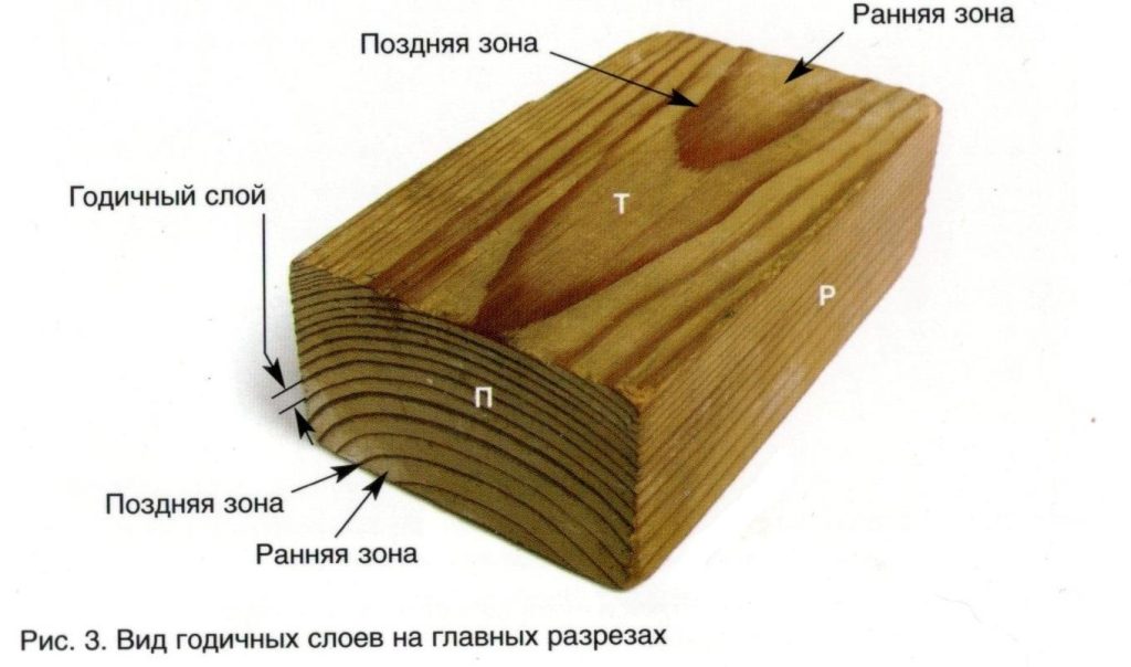 Как определить древесину ясеня?