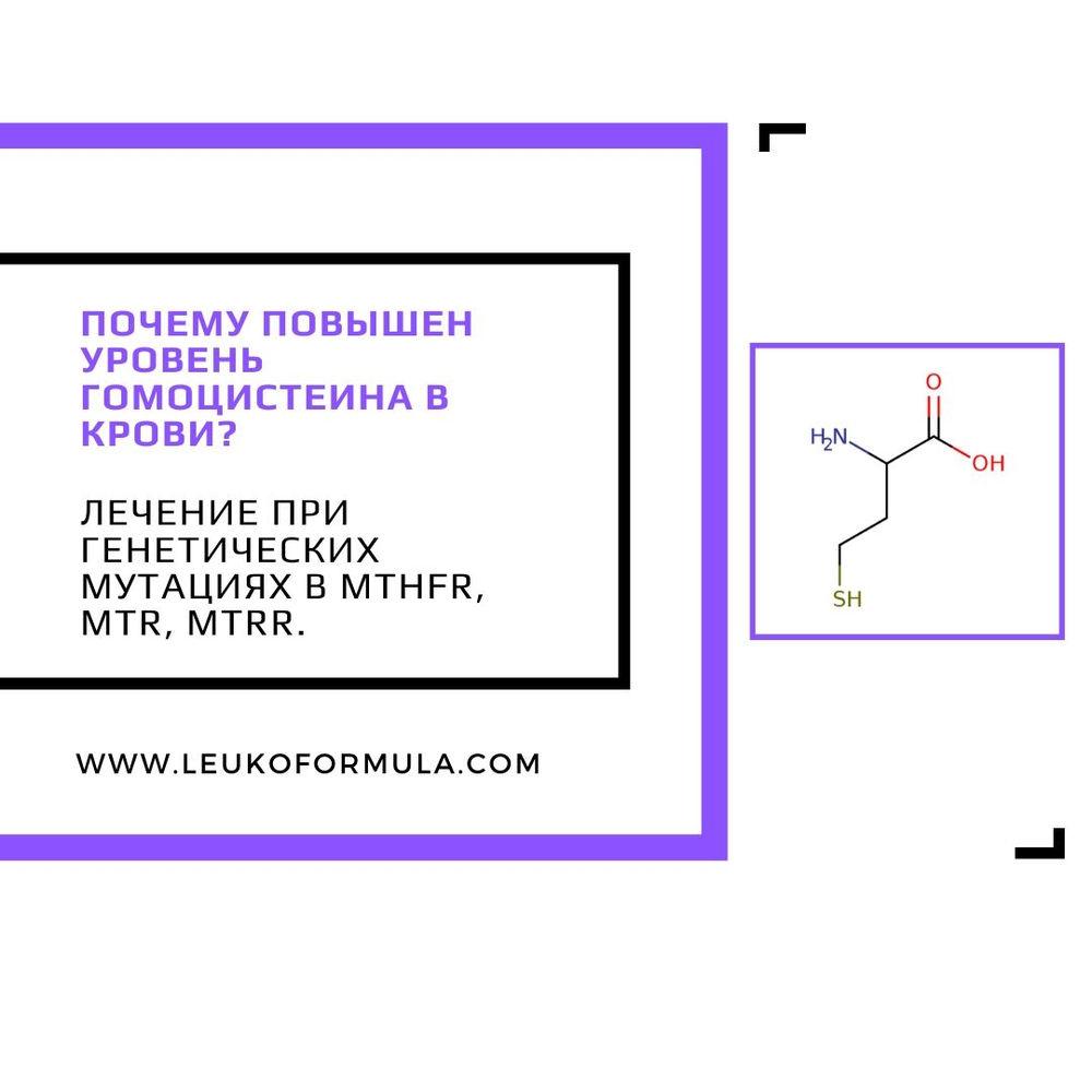 Как проверить уровень гомоцистеина?