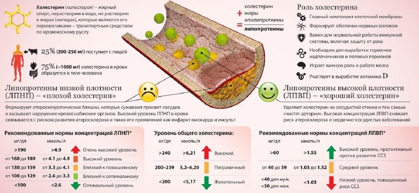 Какая норма холестерина по возрасту?