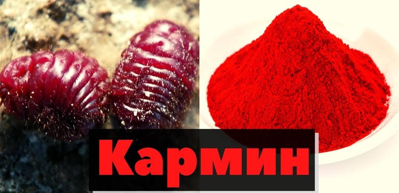 Какие Кармины харам?