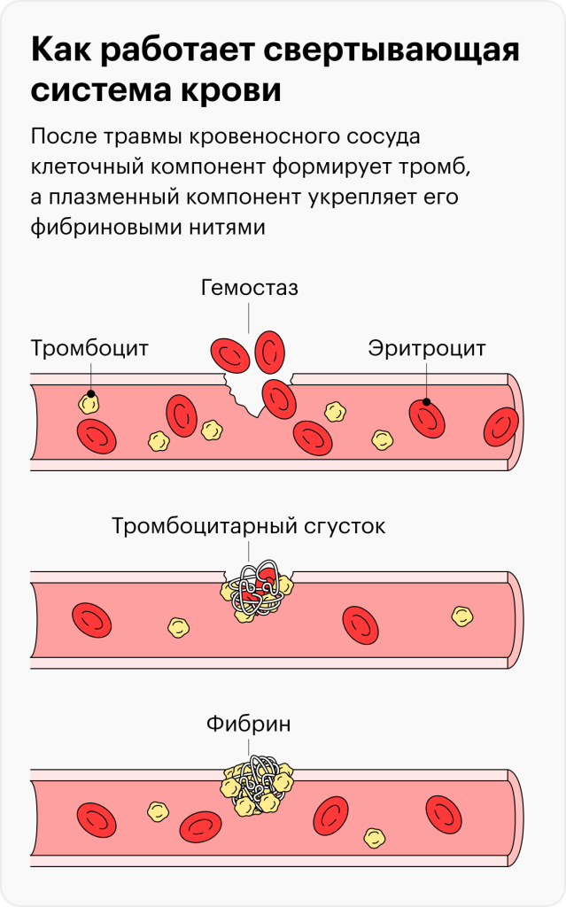 Какие показатели крови показывают состояние поджелудочной?