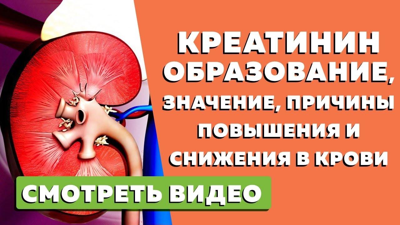 Какие симптомы повышенного креатинина?