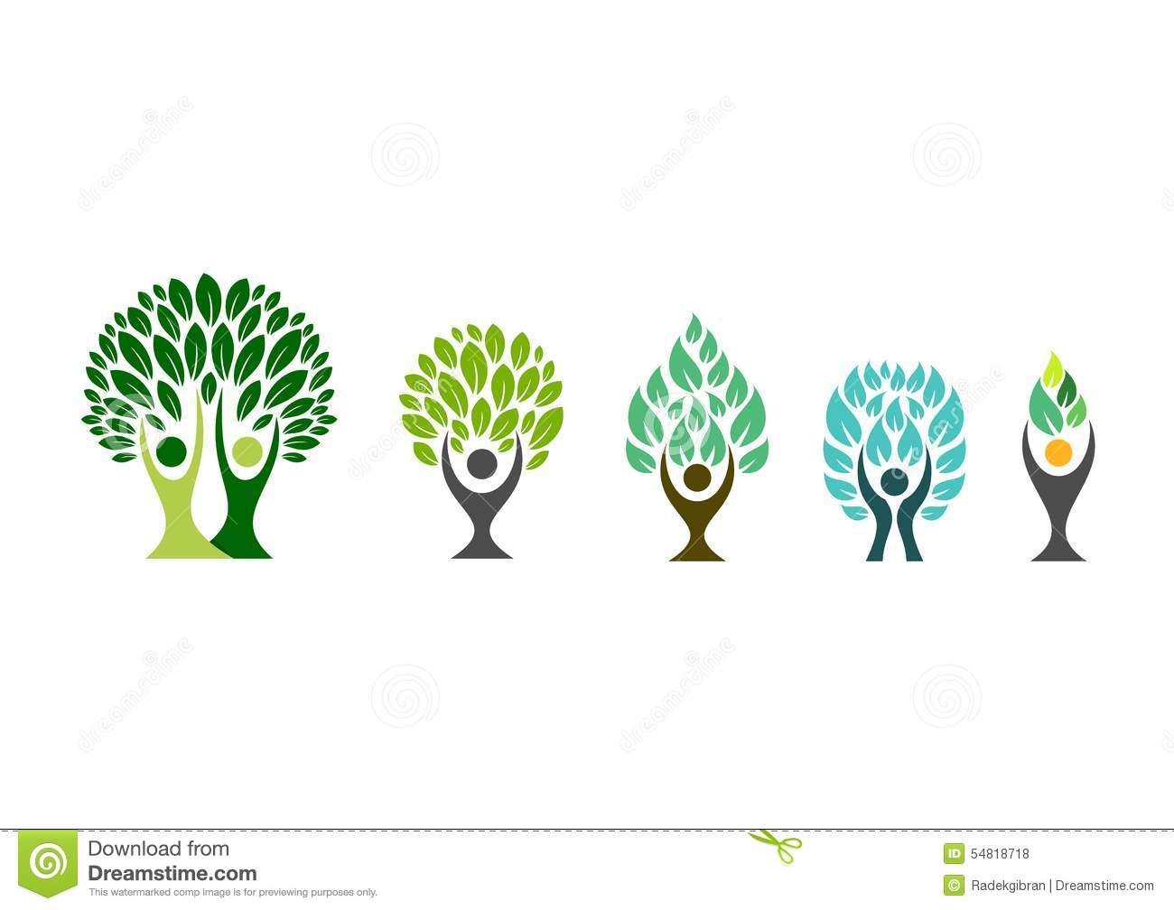 Какое дерево символизирует здоровье?
