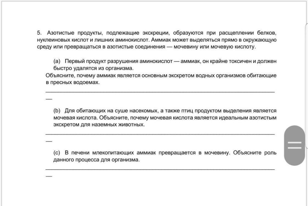 Какой продукт выводит мочевину из организма?