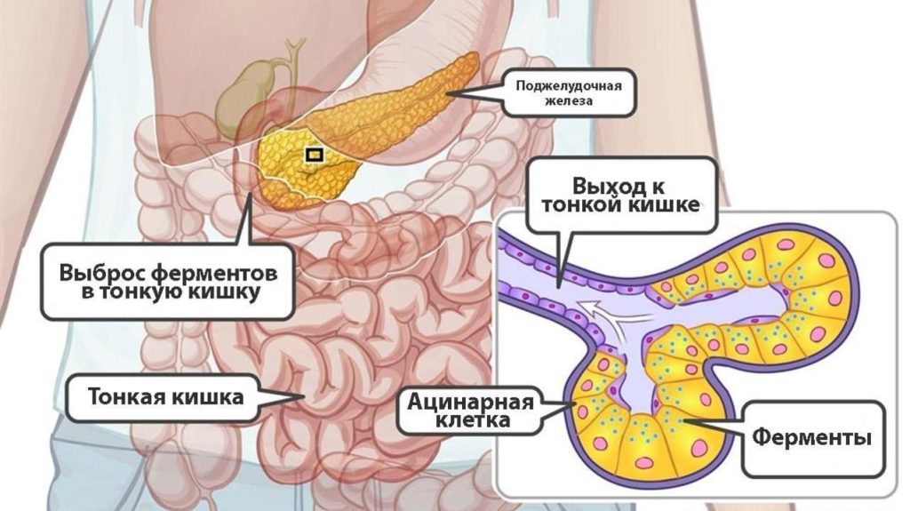 Какой уровень амилазы при хроническом панкреатите?