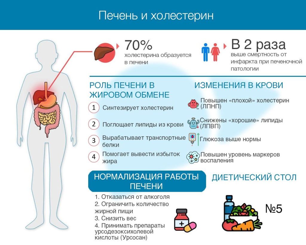 Какой уровень холестерина является опасным?