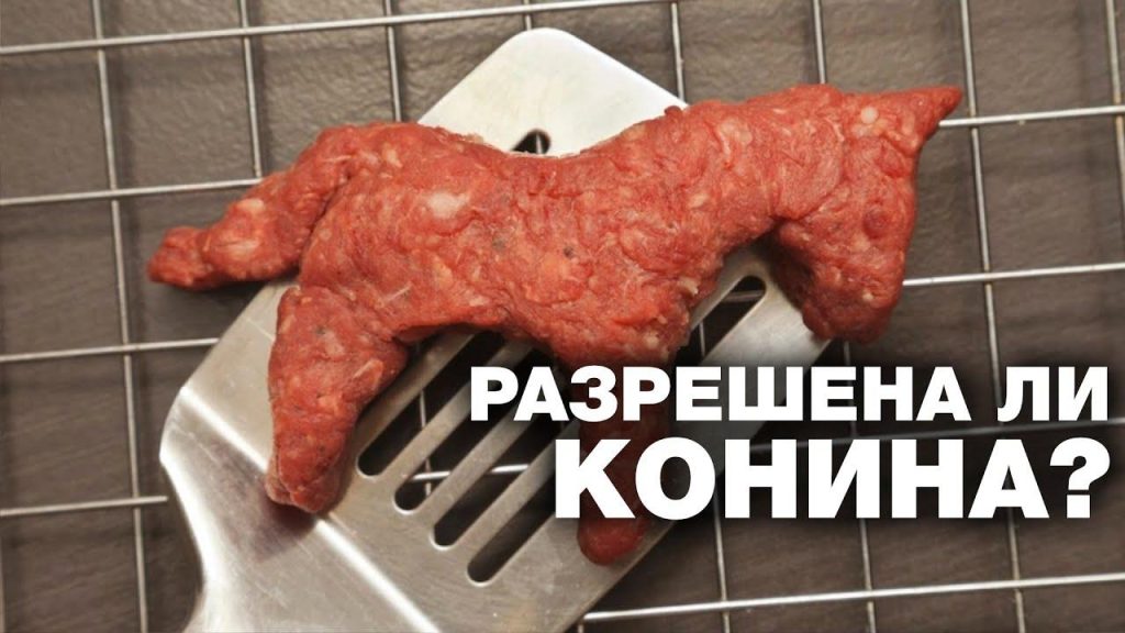 Можно ли есть мясо жирафа в исламе?