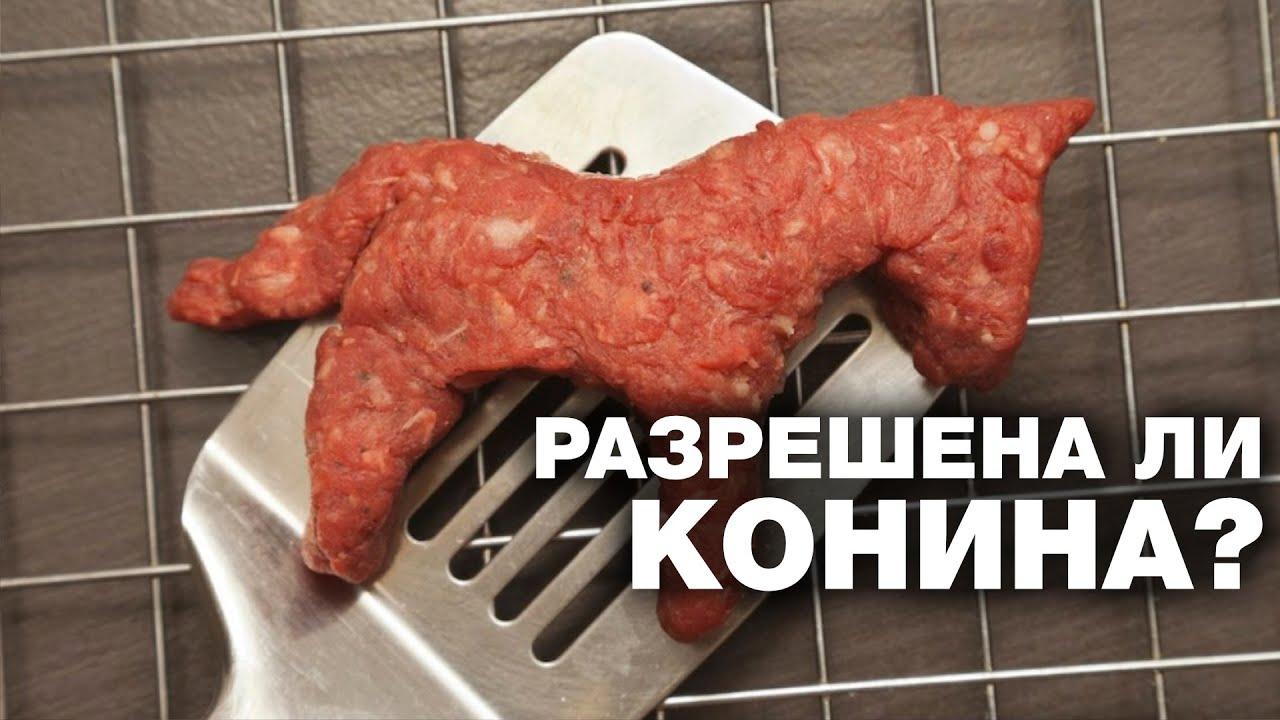 Можно ли есть мясо жирафа в исламе?