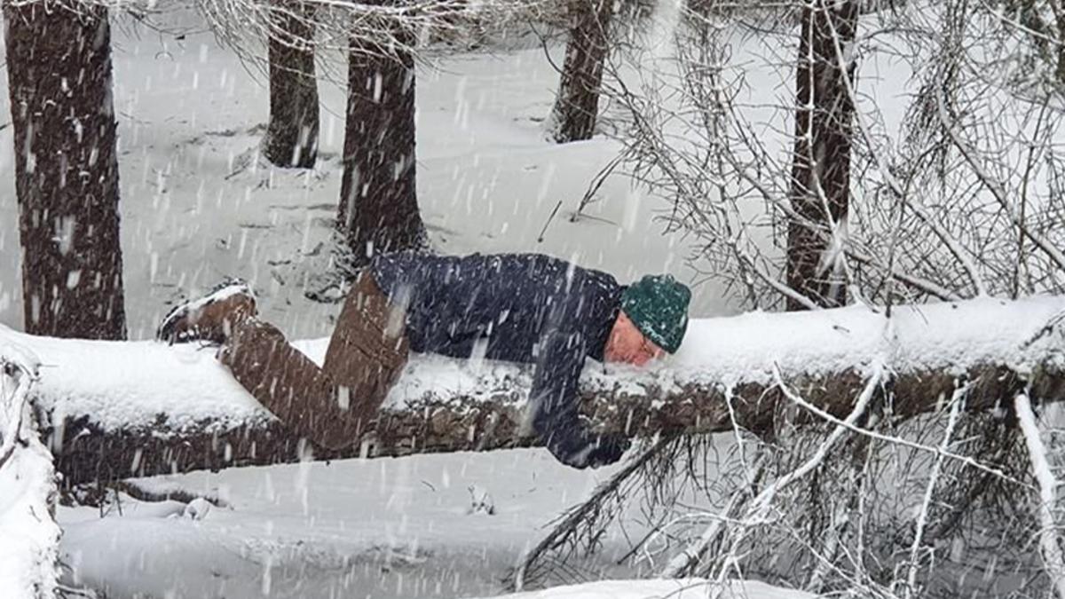 Можно ли обнимать дерево?