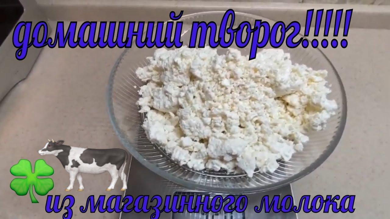 Сколько творога получается из литра молока