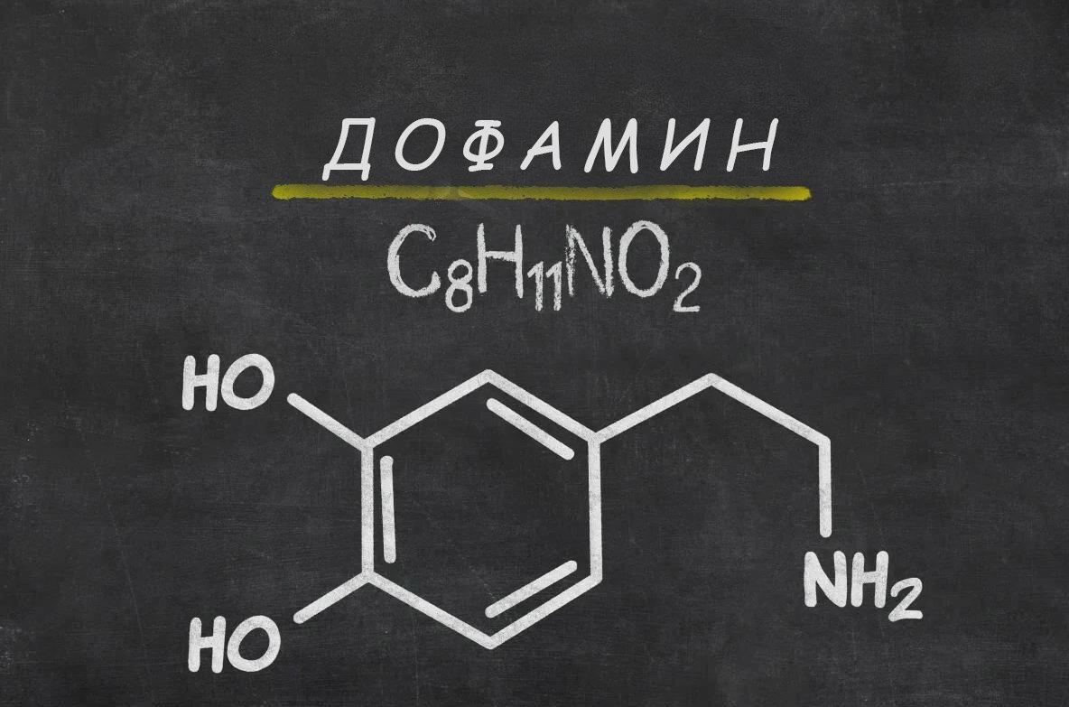 Как дофамин влияет на организм