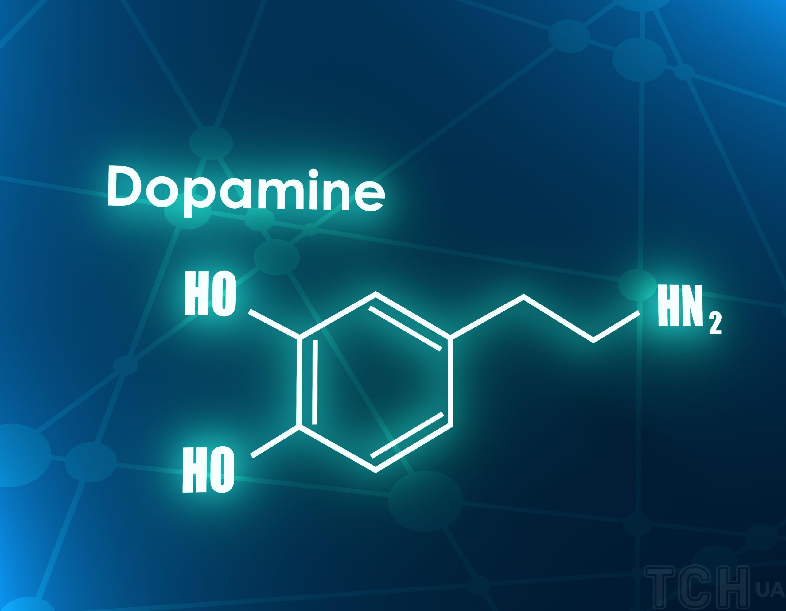 Как работает дофамин